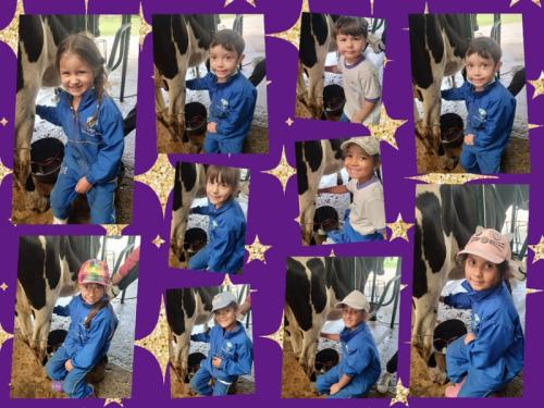 galeria-1er-semestre-2024-15