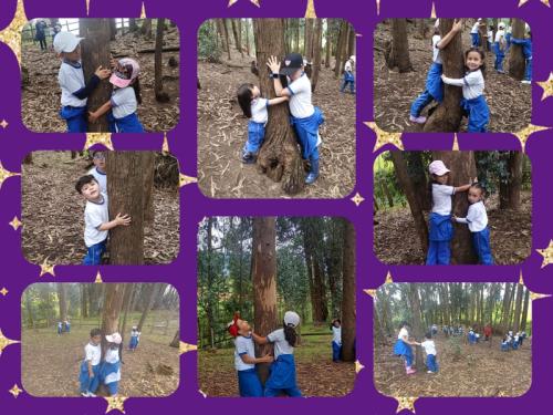 galeria-1er-semestre-2024-2