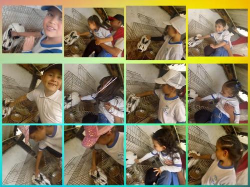 galeria-1er-semestre-2024-21