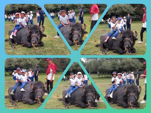 galeria-1er-semestre-2024-23