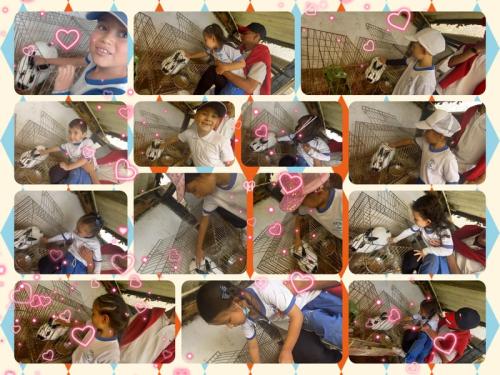 galeria-1er-semestre-2024-25