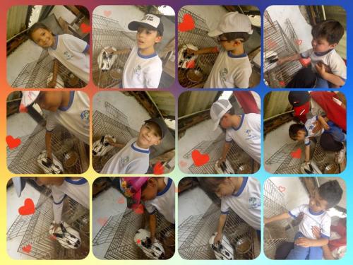 galeria-1er-semestre-2024-26
