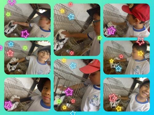 galeria-1er-semestre-2024-27