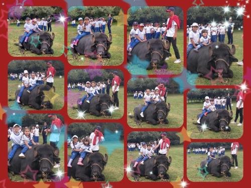 galeria-1er-semestre-2024-28