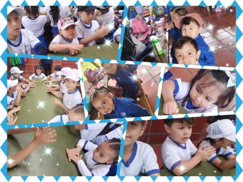 galeria-1er-semestre-2024-3