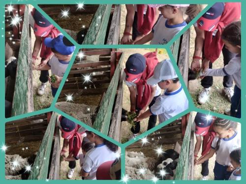 Actividades 2024